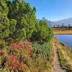 Апартаменты Appartement Eben Im Pongau Эбен (Понгау)